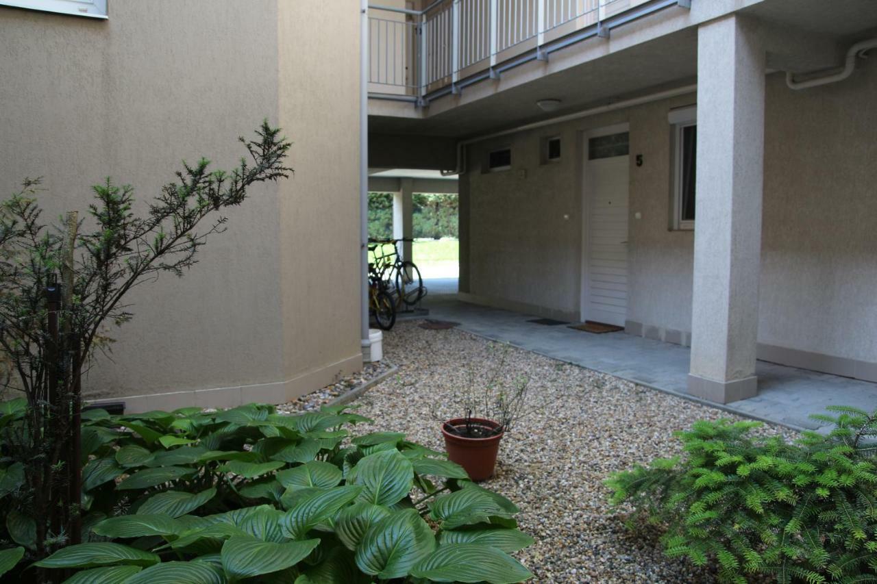 Apartment With Swing Heviz Ngoại thất bức ảnh